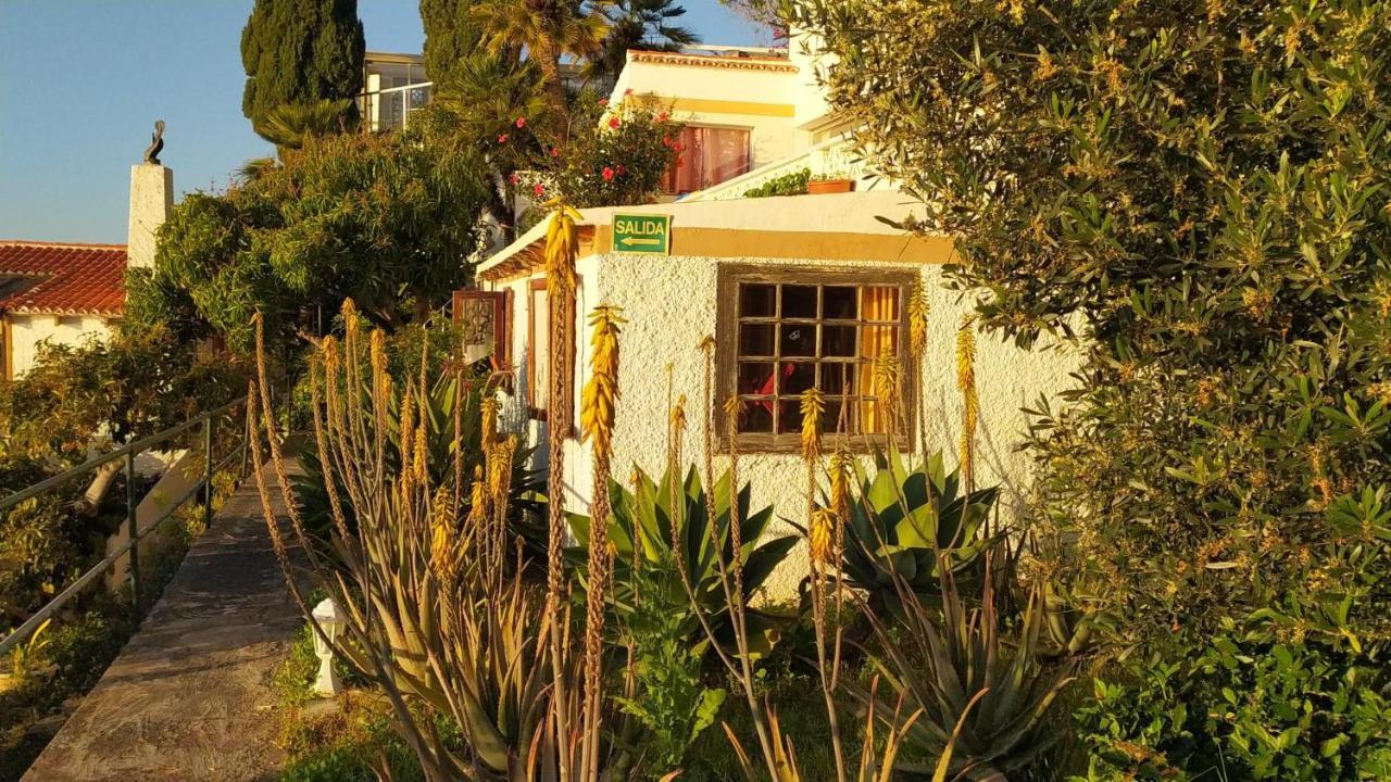 Willkommen Im Paradies - Welcome In Paradise - Bienvenidos Al Paraiso La Matanza De Acentejo Exterior photo